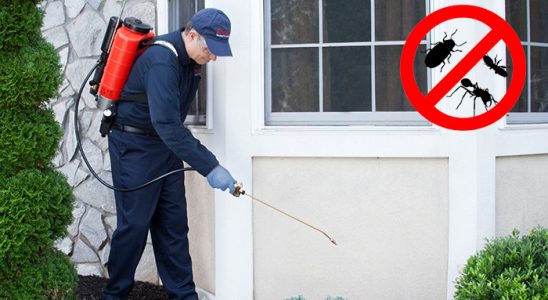 Akçadağ Böcek İlaçlama böcek ilaçlama ve haşere kontrolü — ilaclama-tr.com